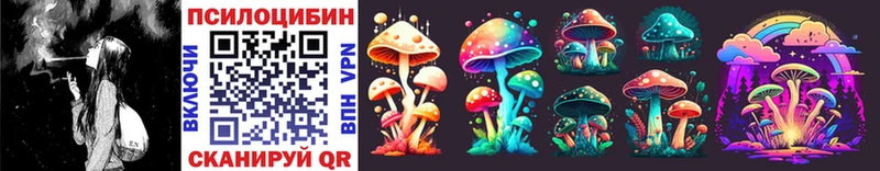 Галлюциногенные грибы Psilocybine cubensis Лабытнанги