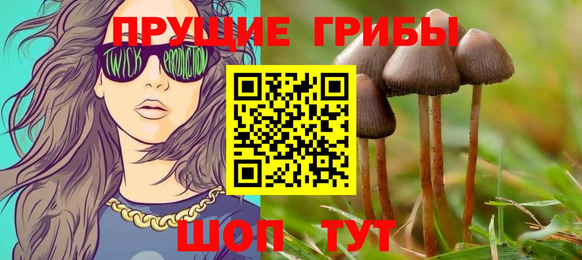 Галлюциногенные грибы GOLDEN TEACHER Лабытнанги