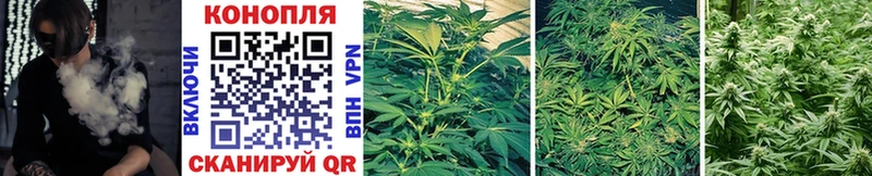 наркотики  Лабытнанги  Марихуана SATIVA & INDICA 